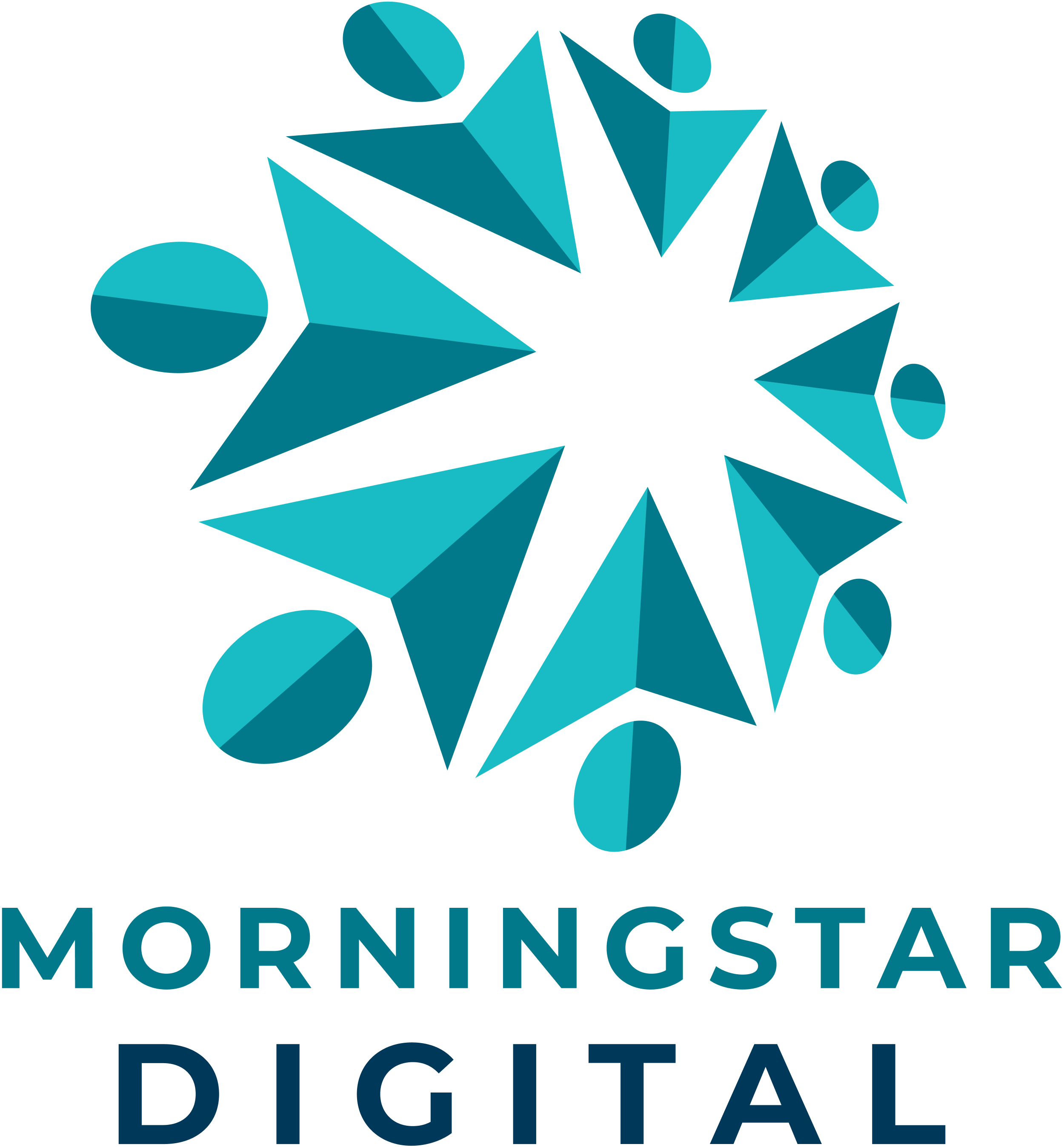 Morningstar Digital Vertical 2500